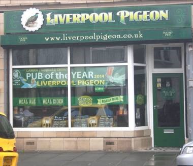 Liverpool Pigeon 1